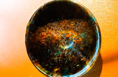 芯漆 ぐい吞み 酒器 lacquer sake cup